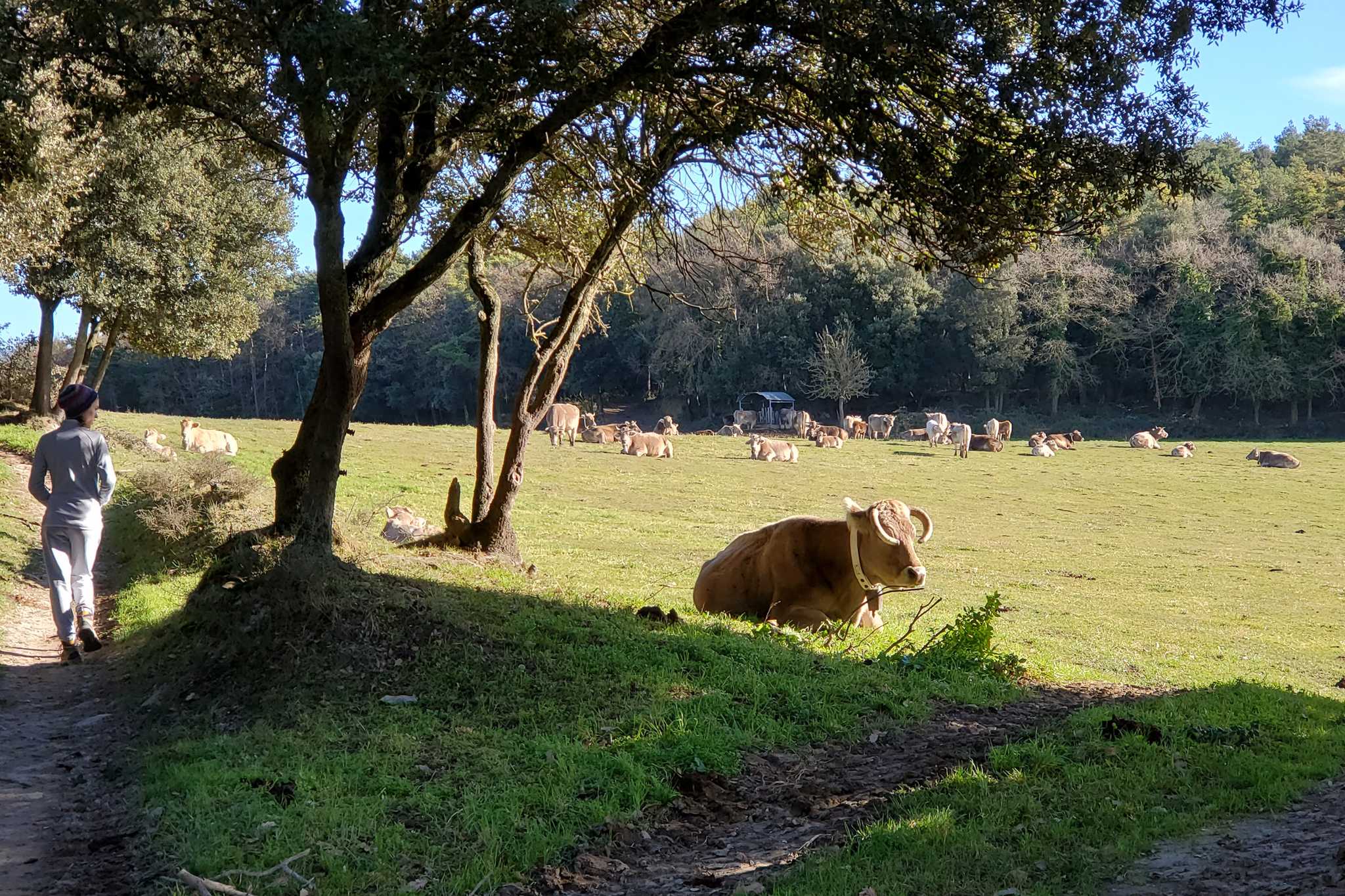 2020 12 27 Aguilar 09