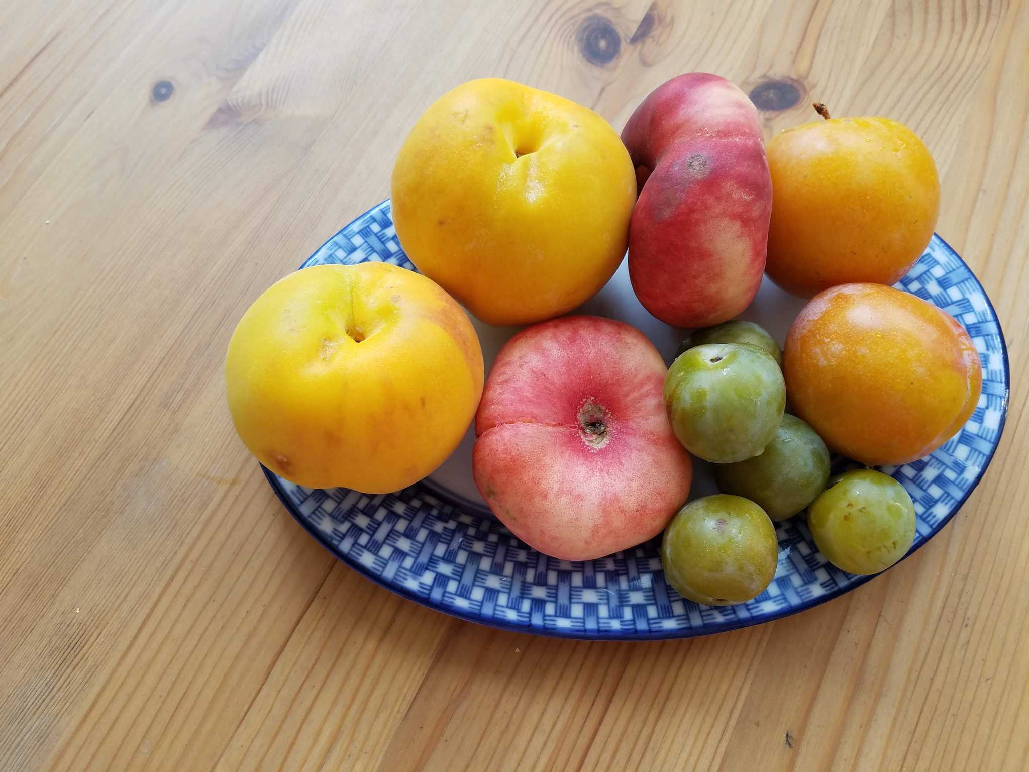 Seasonal September fruit