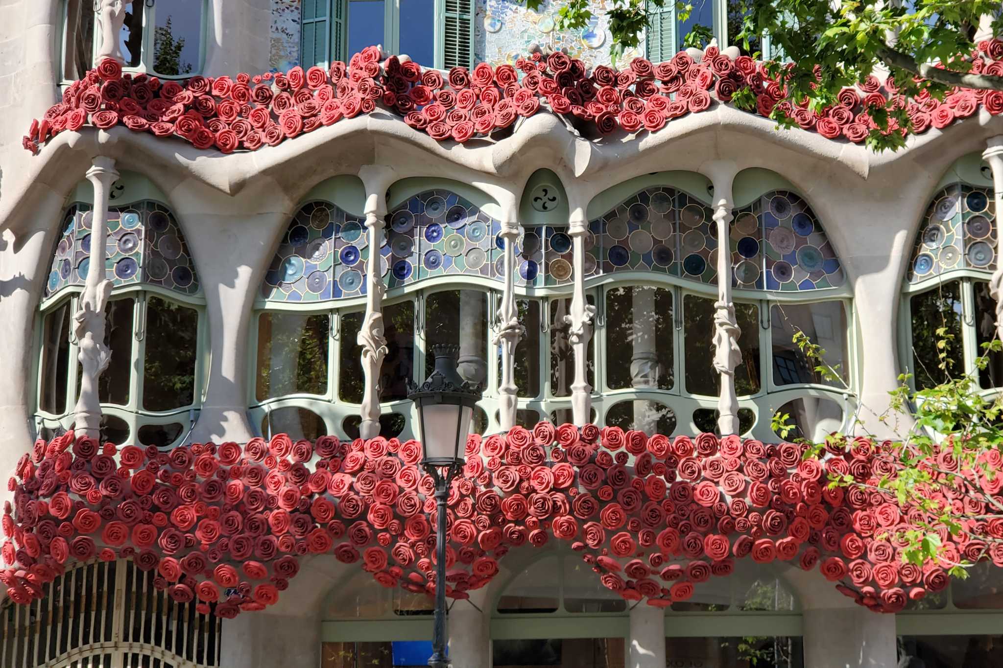 Dressed for Sant Jordi