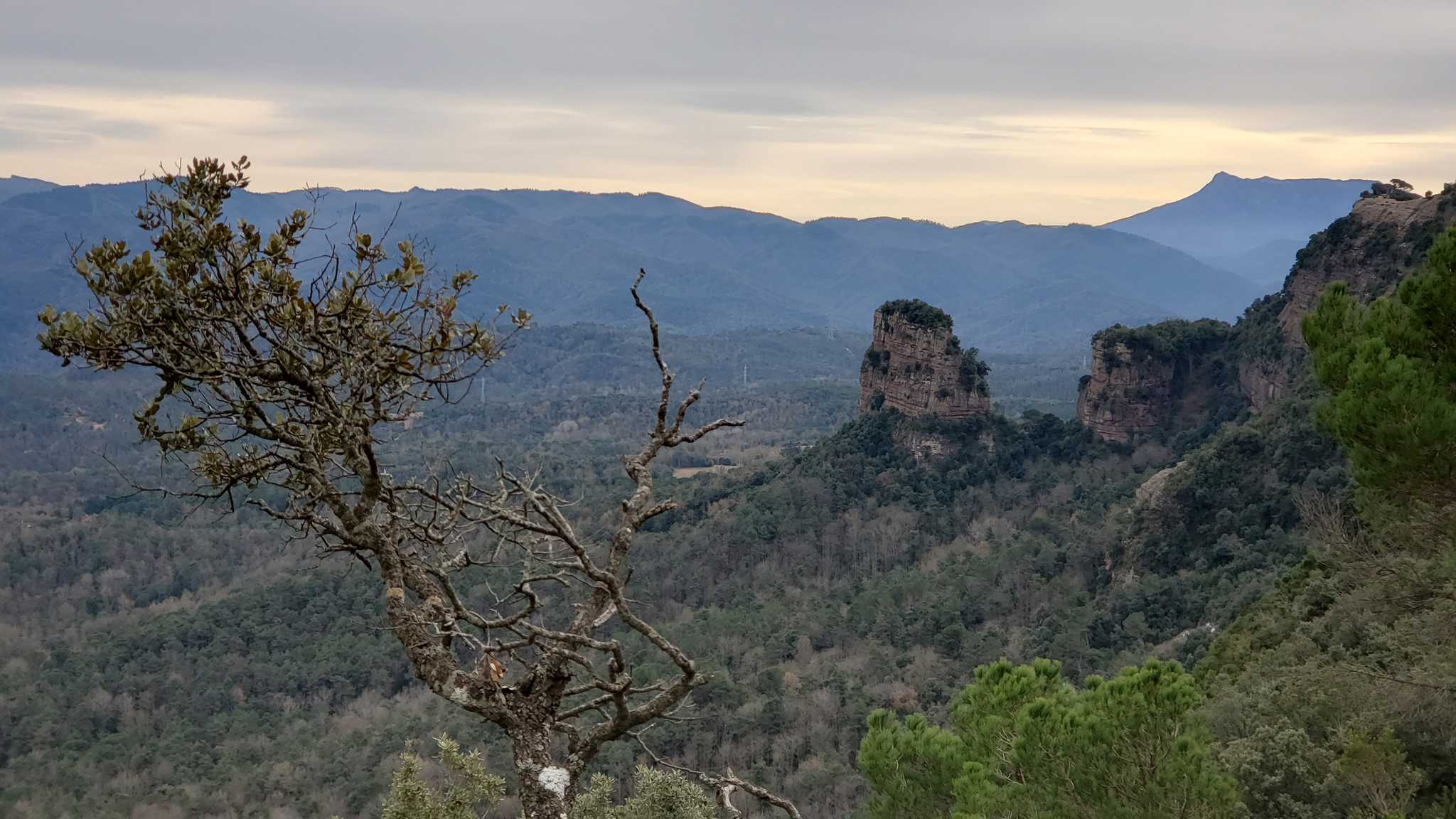 2020 12 27 Aguilar 08