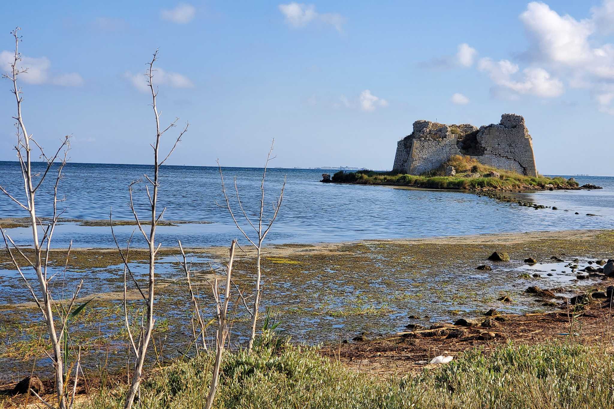 2021 07 03 DeltaEbre 07