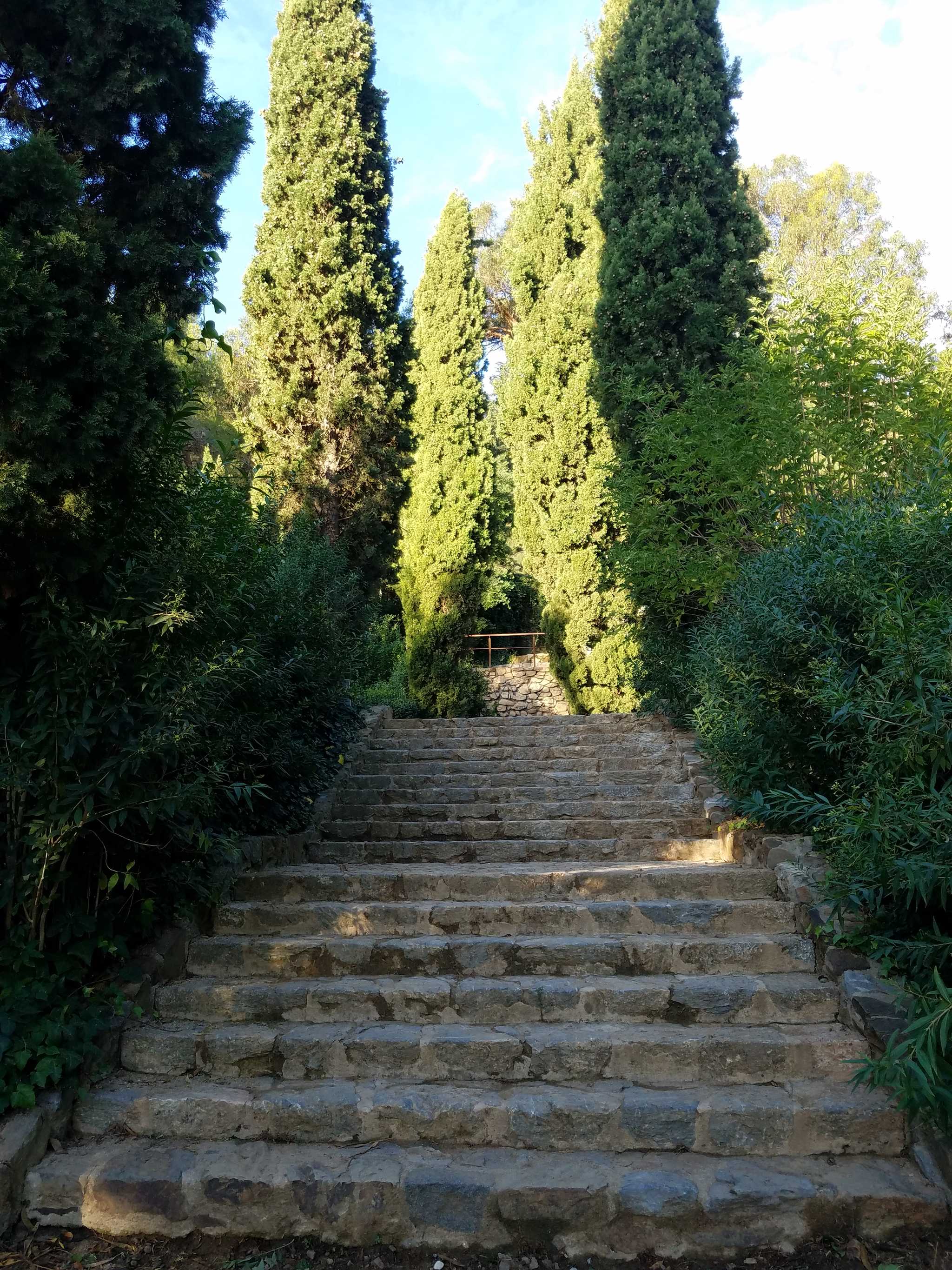 2020 01 22 Borrasca 08