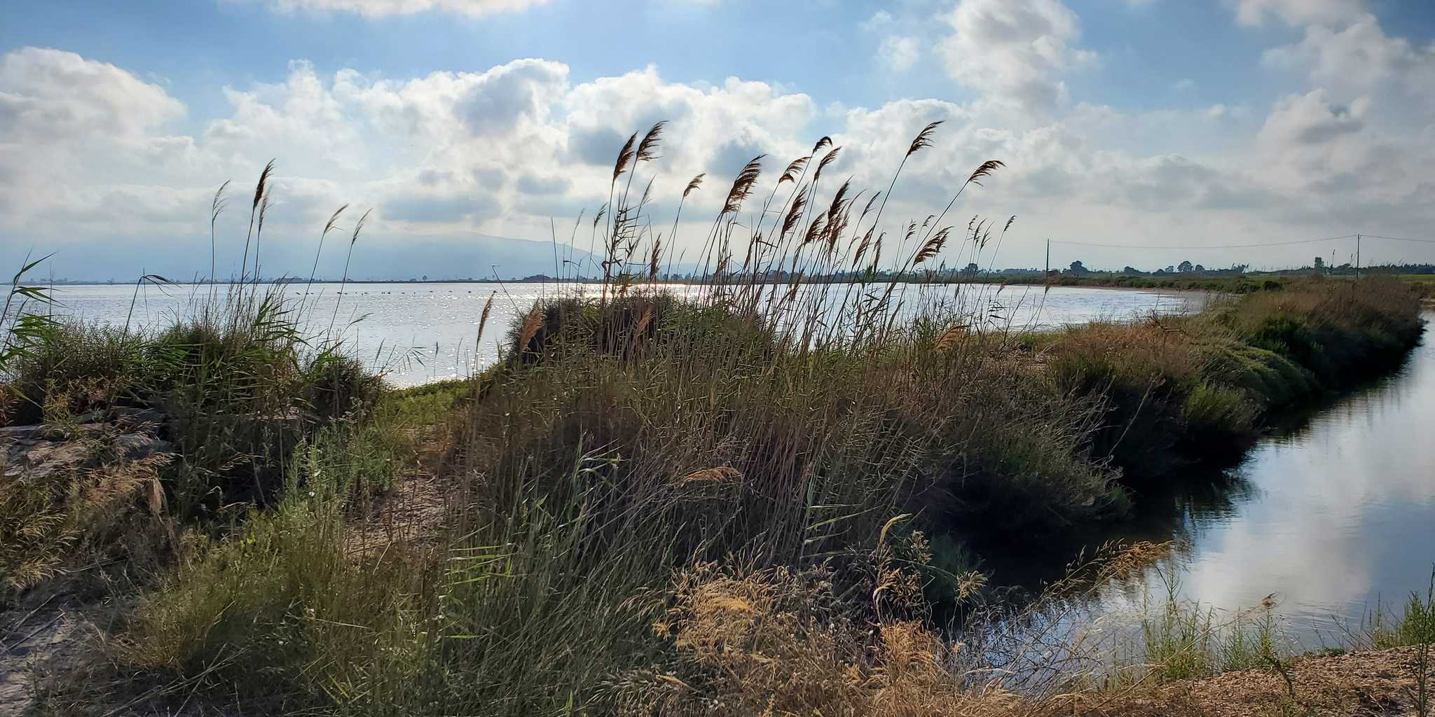 2021 07 03 DeltaEbre 08