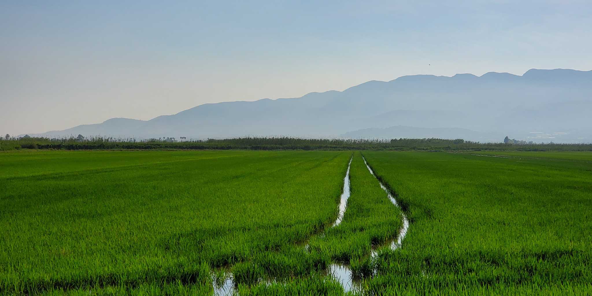 2021 07 03 DeltaEbre 01