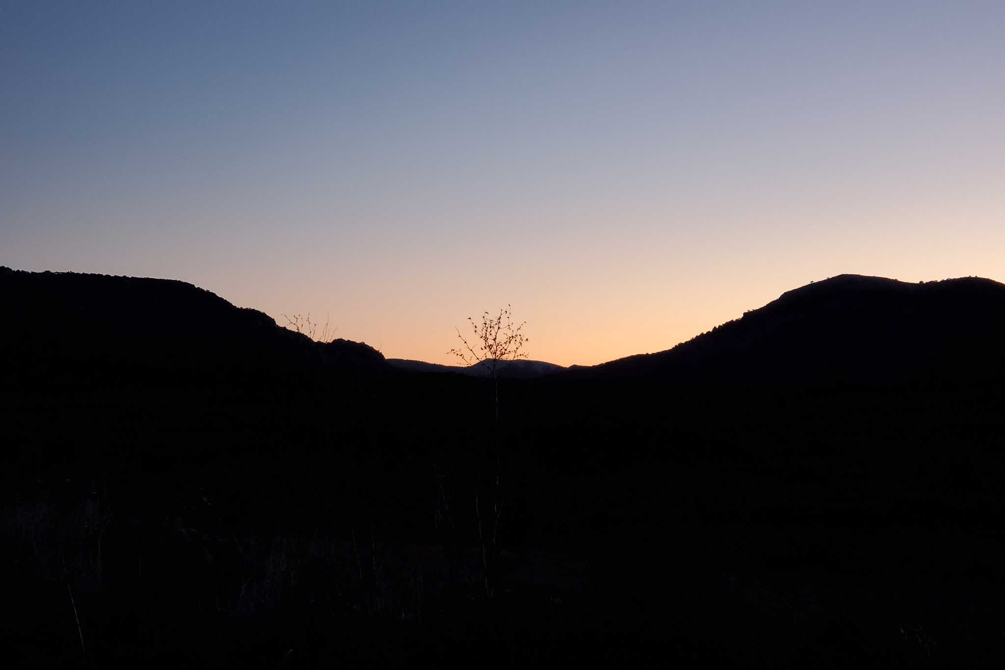 2021 01 04 Peramea 02